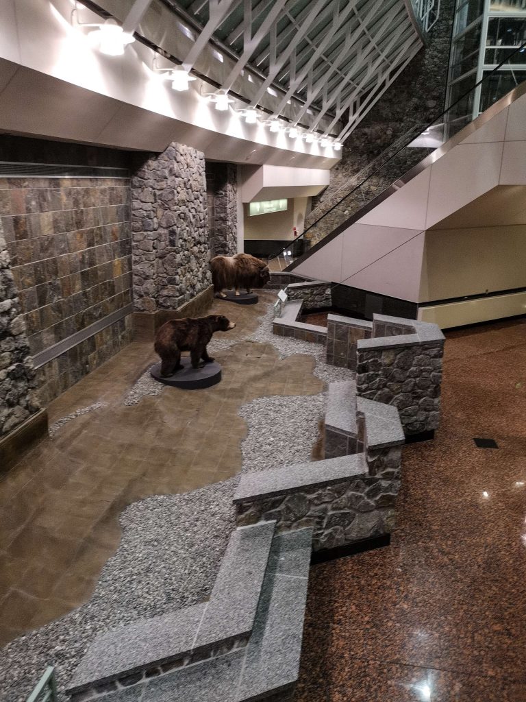 Orsi imbalsamati all'aeroporto di Anchorage