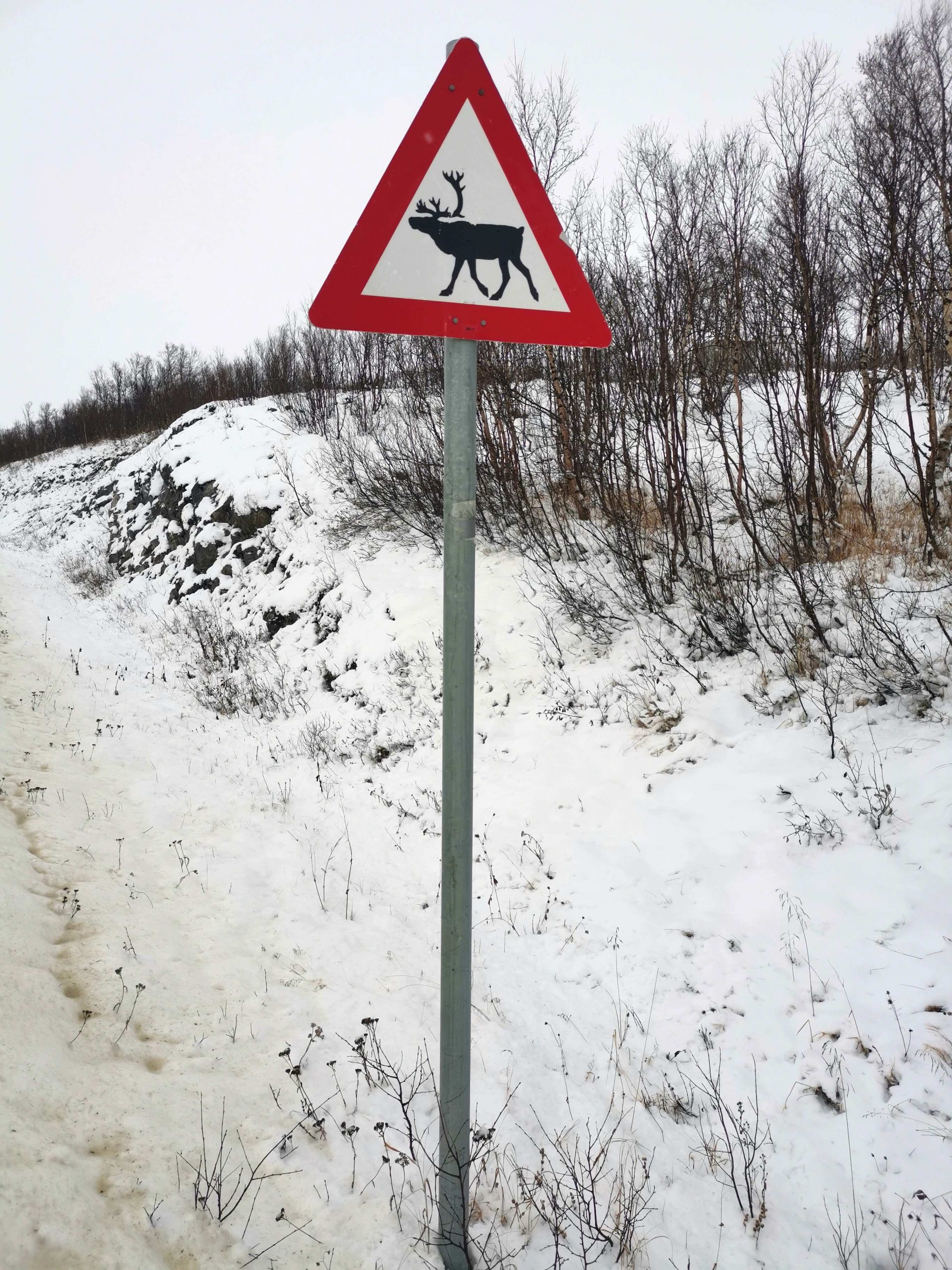 E6, Alta, Norvegia